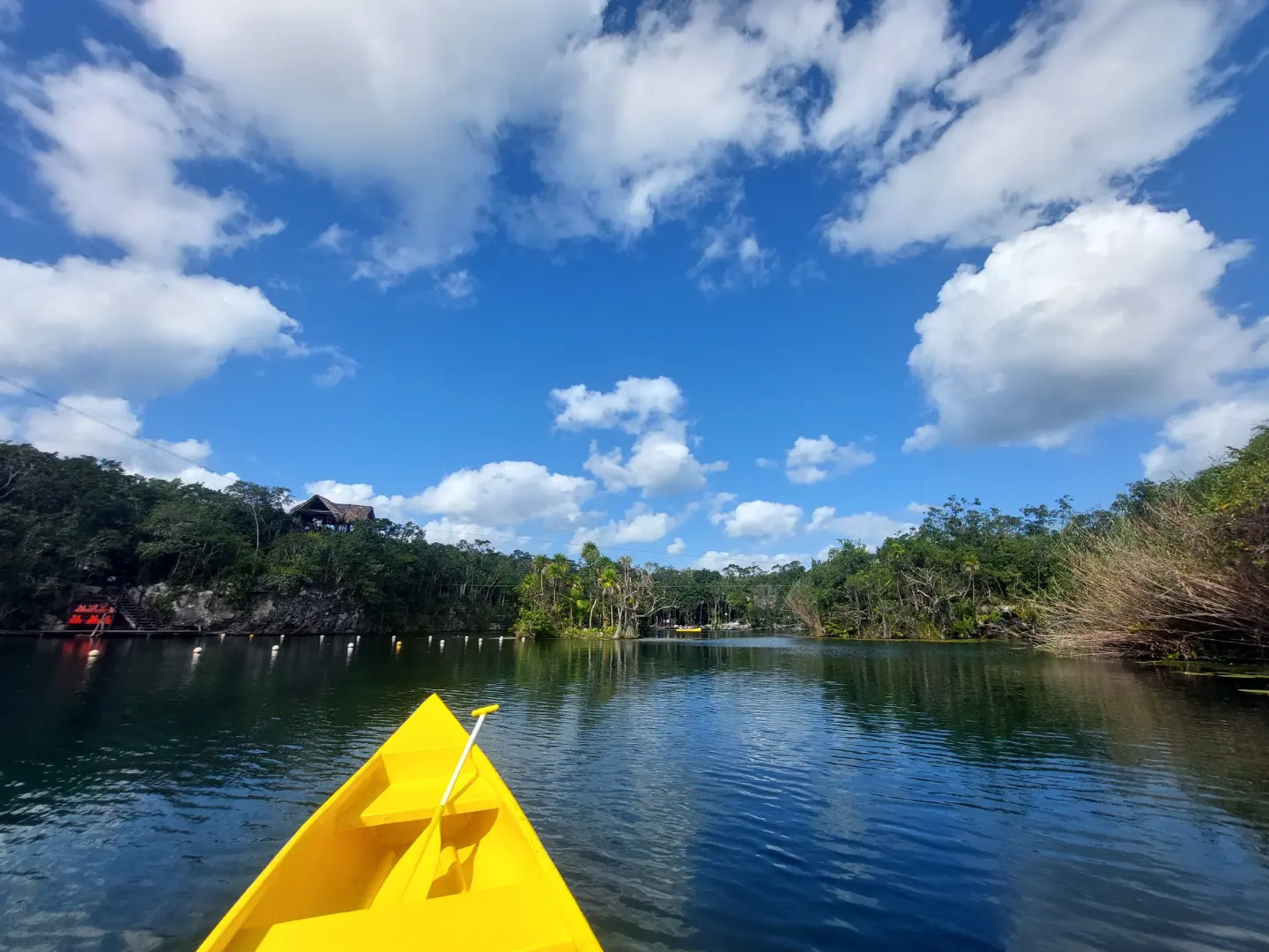 IMG_20221206_142845_201