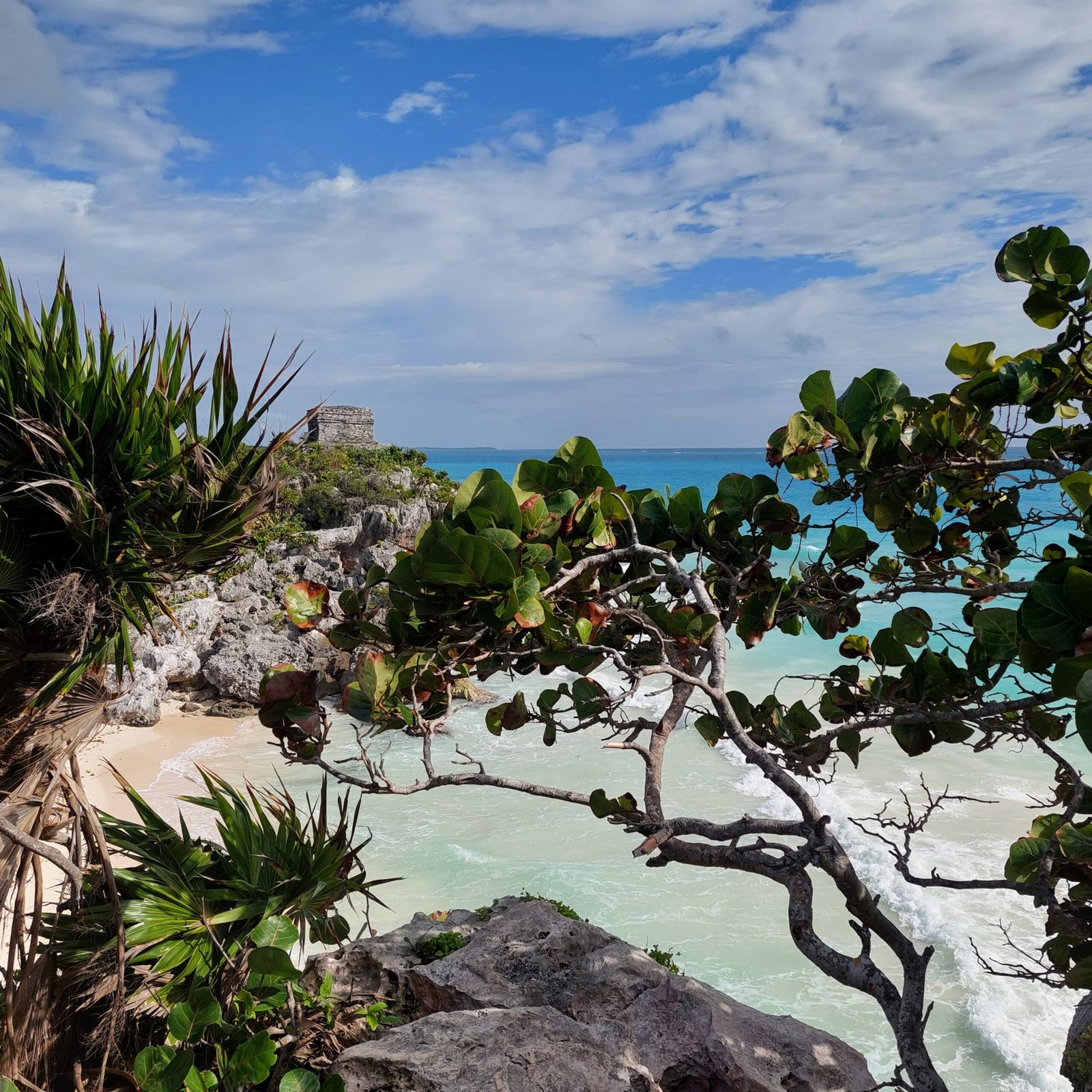 IMG_20221229_111959_392