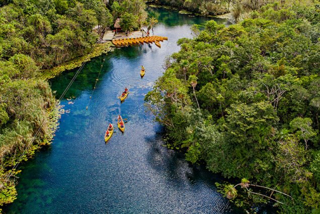 Tankah Private Tour — Zipline, Canoe, Cenotes & Mayan Lunch